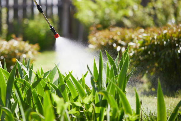 24/7 Emergency Mosquito Control experts in Gages Lake, IL