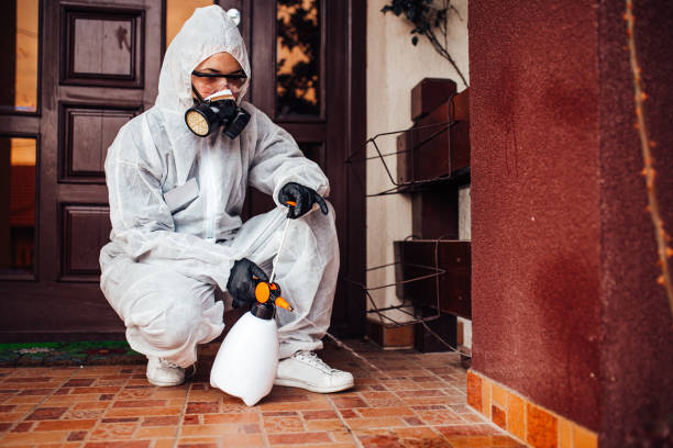 Reliable Mosquito Control contractor in Gages Lake, IL by Show Me Pest Control