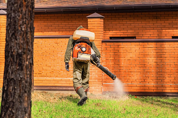 Top rated local Mosquito Control specialists in Gages Lake, IL